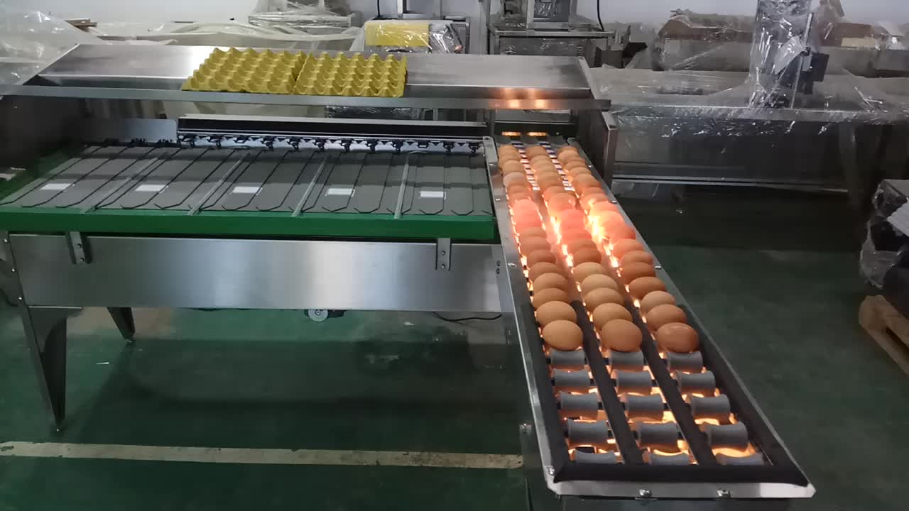 птицефабрика волжская волгоградская область. цех сортировки и упаковки яиц. сортировщик яиц. сортировка яиц. сортировка яиц.