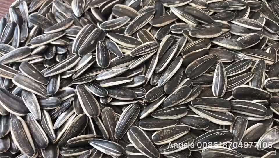 Chinese Roasted Original Flavor Sunflower Seeds Buy Sunflower Seeds,Roasted Sunflower Seeds