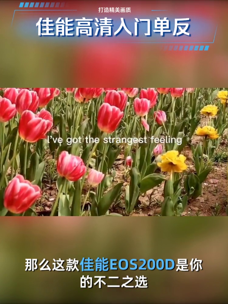 佳可EOS100D 200D2 II二代单反相机入门级高清数码相机学生旅游女、真在适合新手小白吗？