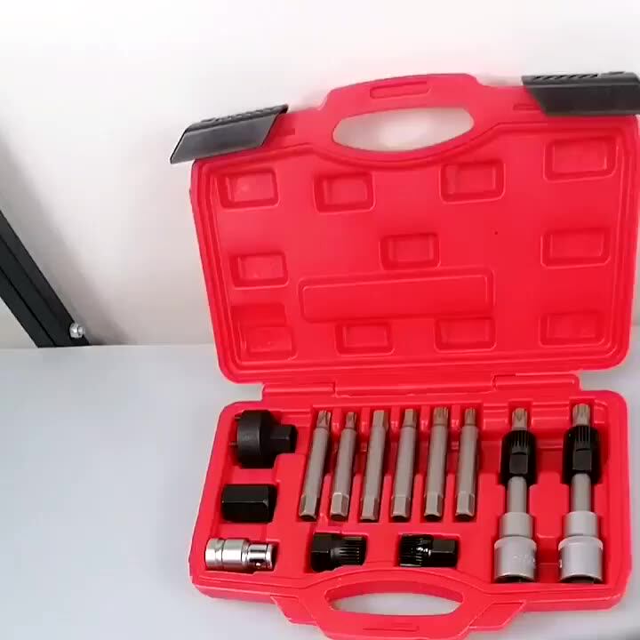 DAYUAN 18pcs Alternator Pulley Removal Tool Kit, Service Decoupler Insert Bit Socket Set