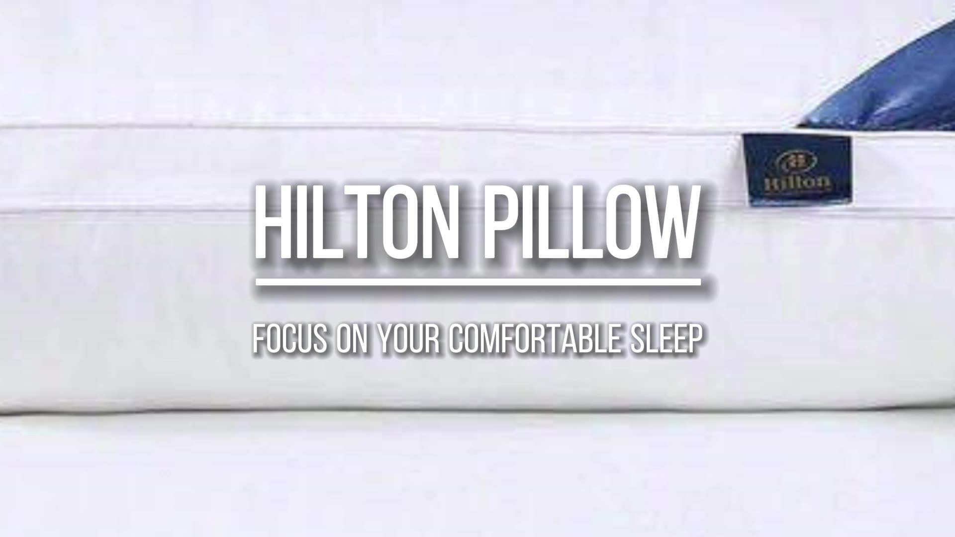 Memory Hotel Hilton Pillow 1000g With Bag Double Line Quilted,Nap
