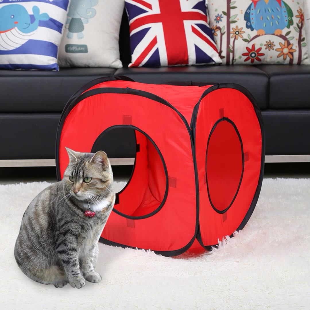 cat play cube