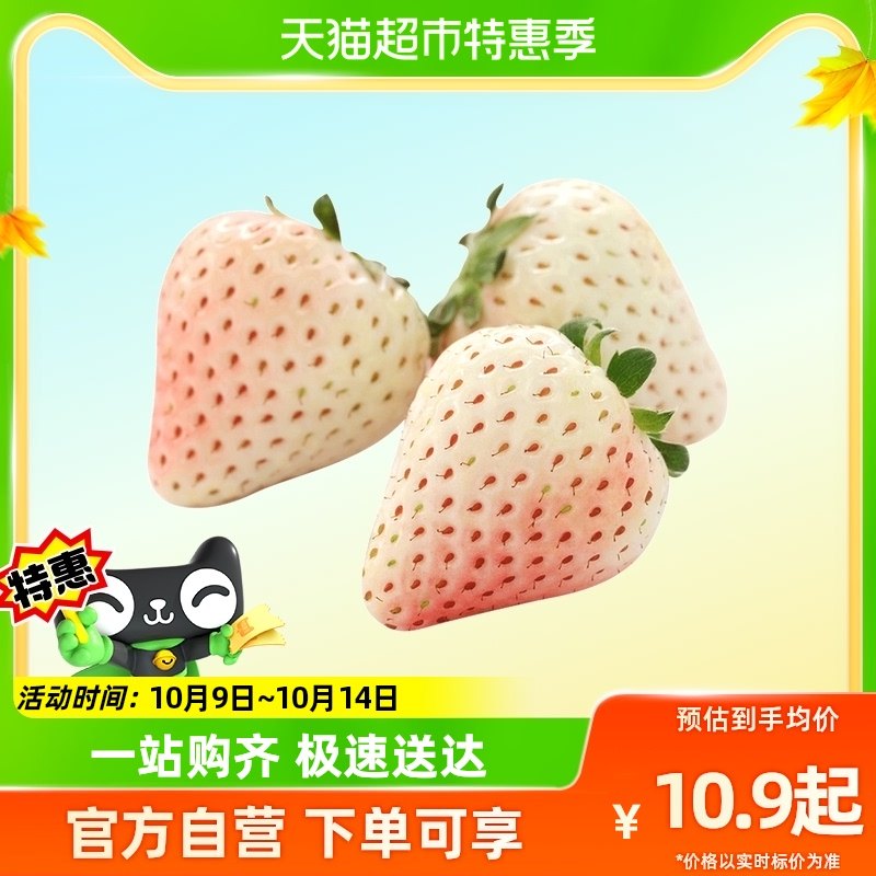 Iridescent Strawberry Seedlings Potted Terrace All Season Results Tree Black Pearl Red and Cream Strawberry Plant-Taobao