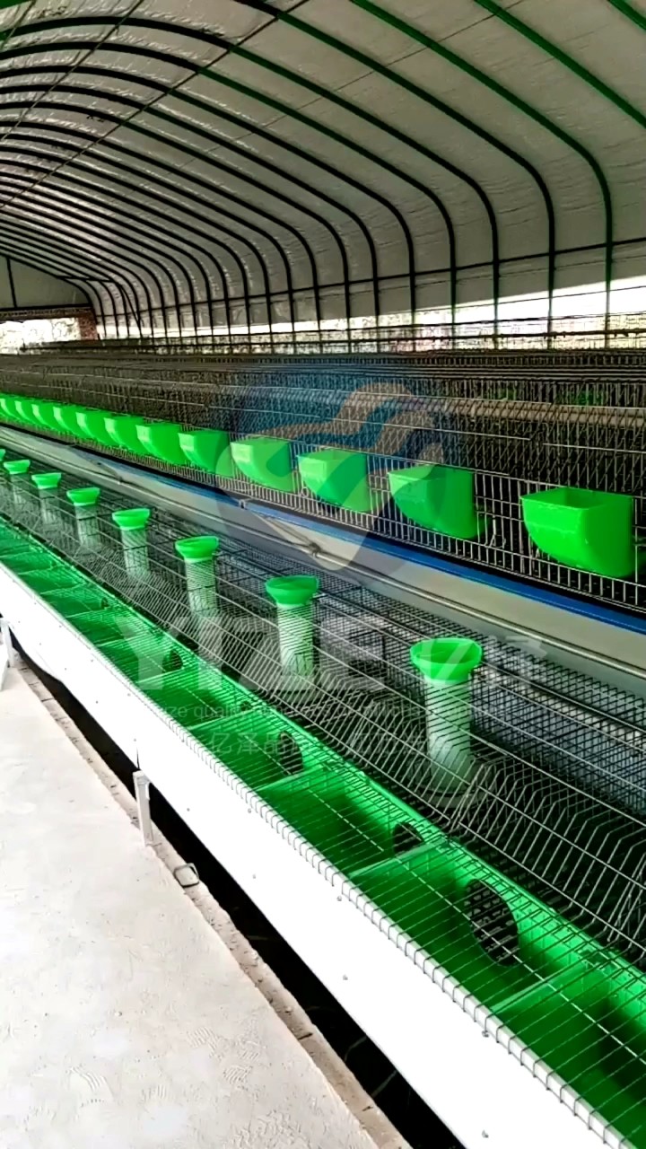 Large Indoor Automatic Rabbit Cage Industrial Rabbit Cage For Sale