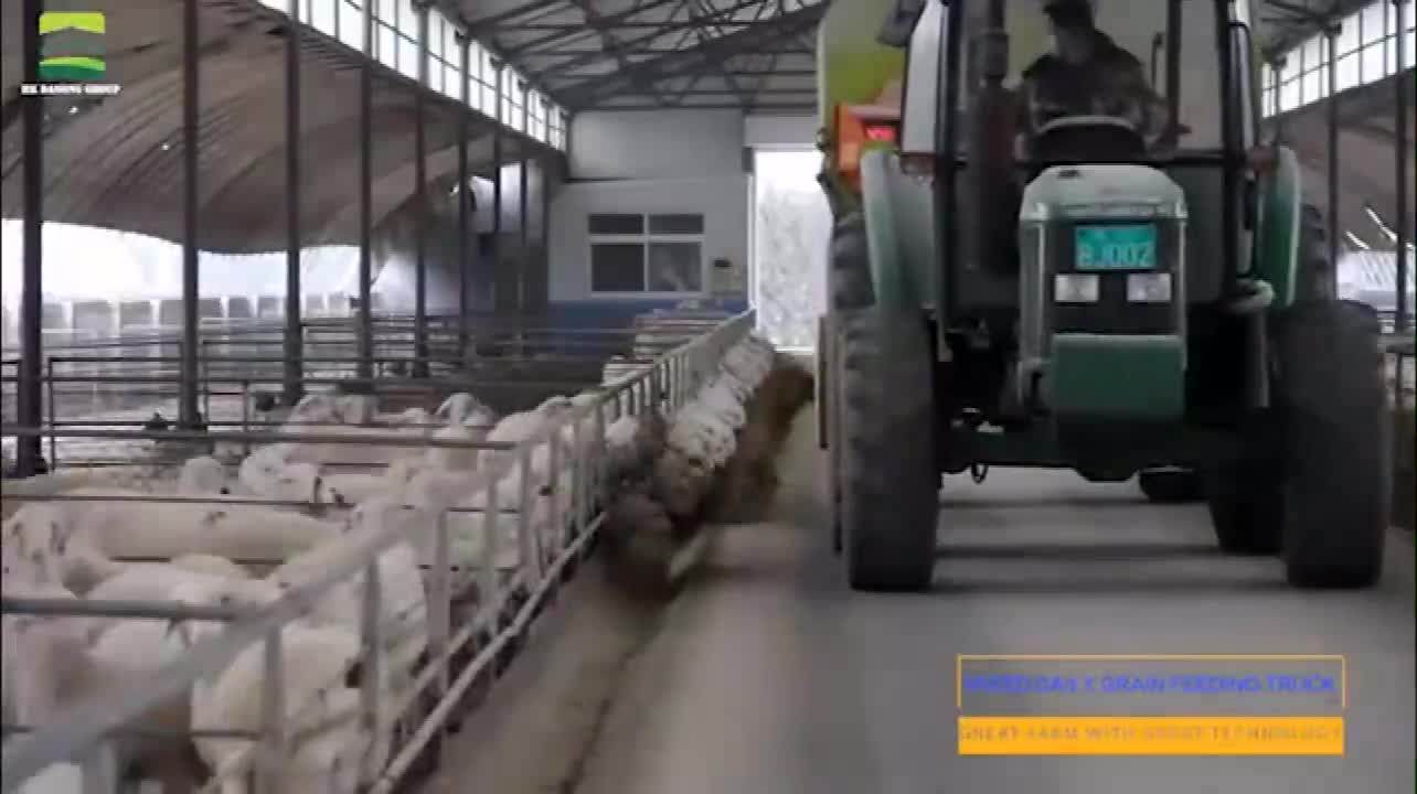 Economics Of Goat Sheep Farm Design Rising Sheep For Milk Meat Sheep