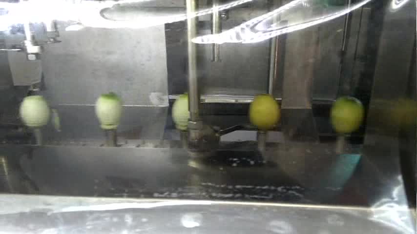 lemon peeler for drinks lemon peeler for drinks