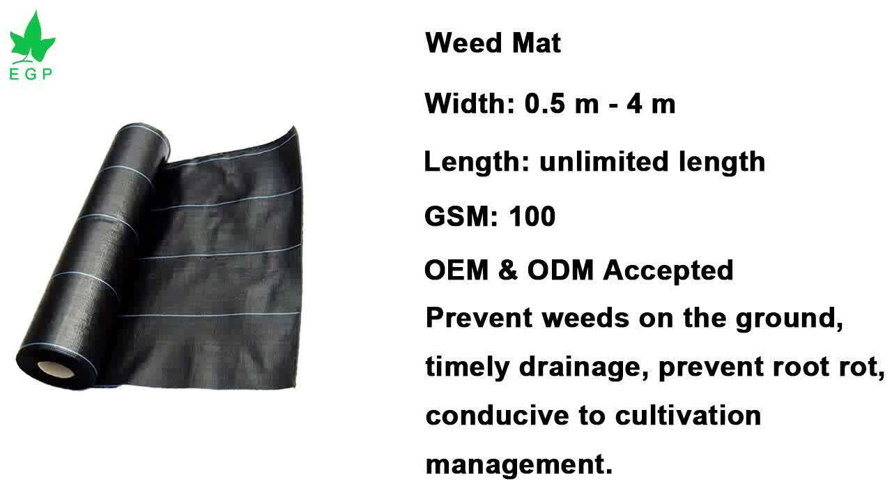 Recyclable Agricultural Customized Weed Barrier Pp Weed Mat,Weed