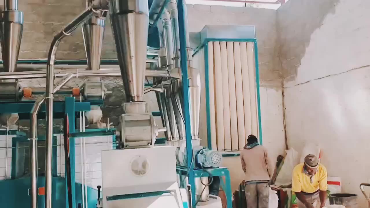 30T per day maize corn grinding mills maize milling machine for sale in