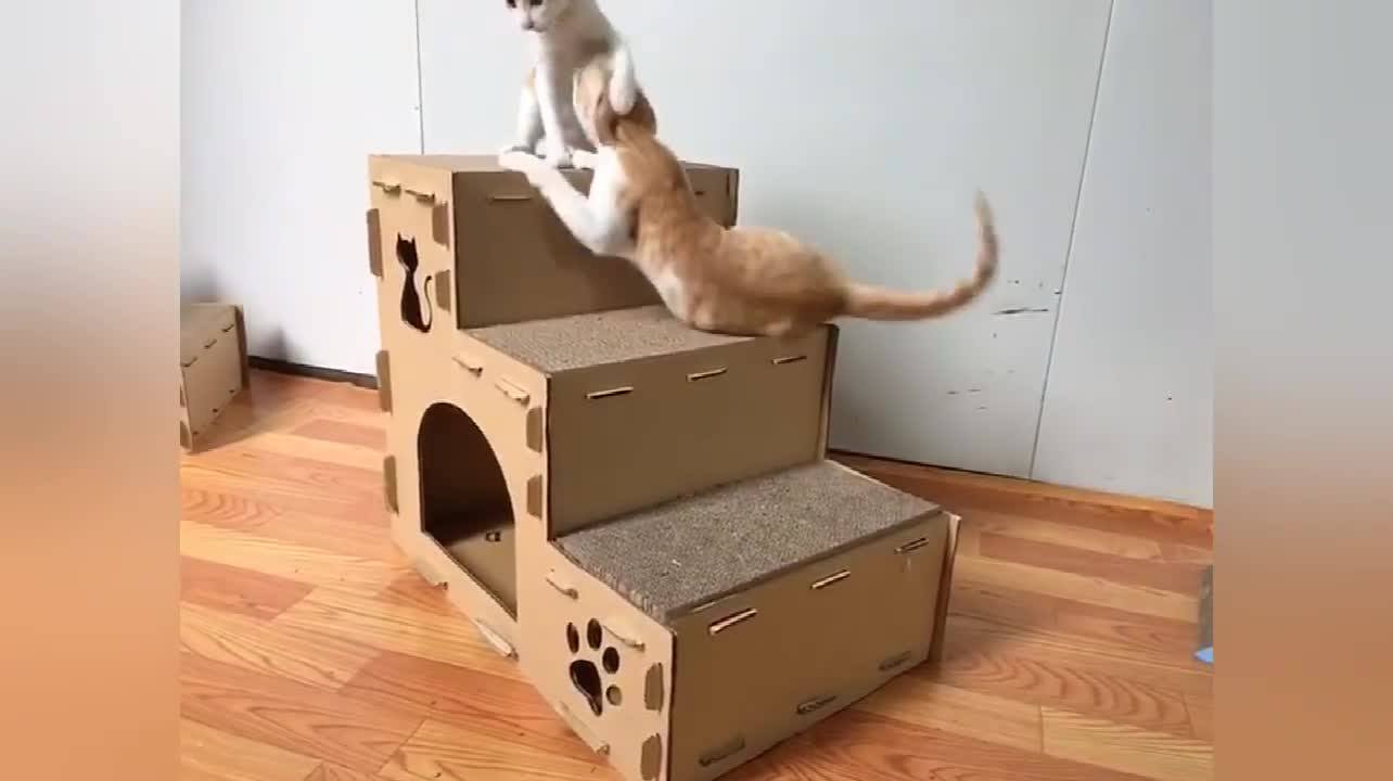 Icle Brandcat Applications Stairs Layers Corrugated Scratching Cardboard Craft Cat Scratcher