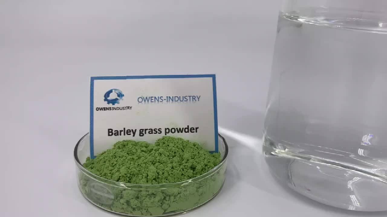 100 Natural Organic Green Barley Fiber Grass Juice Powder For Weight