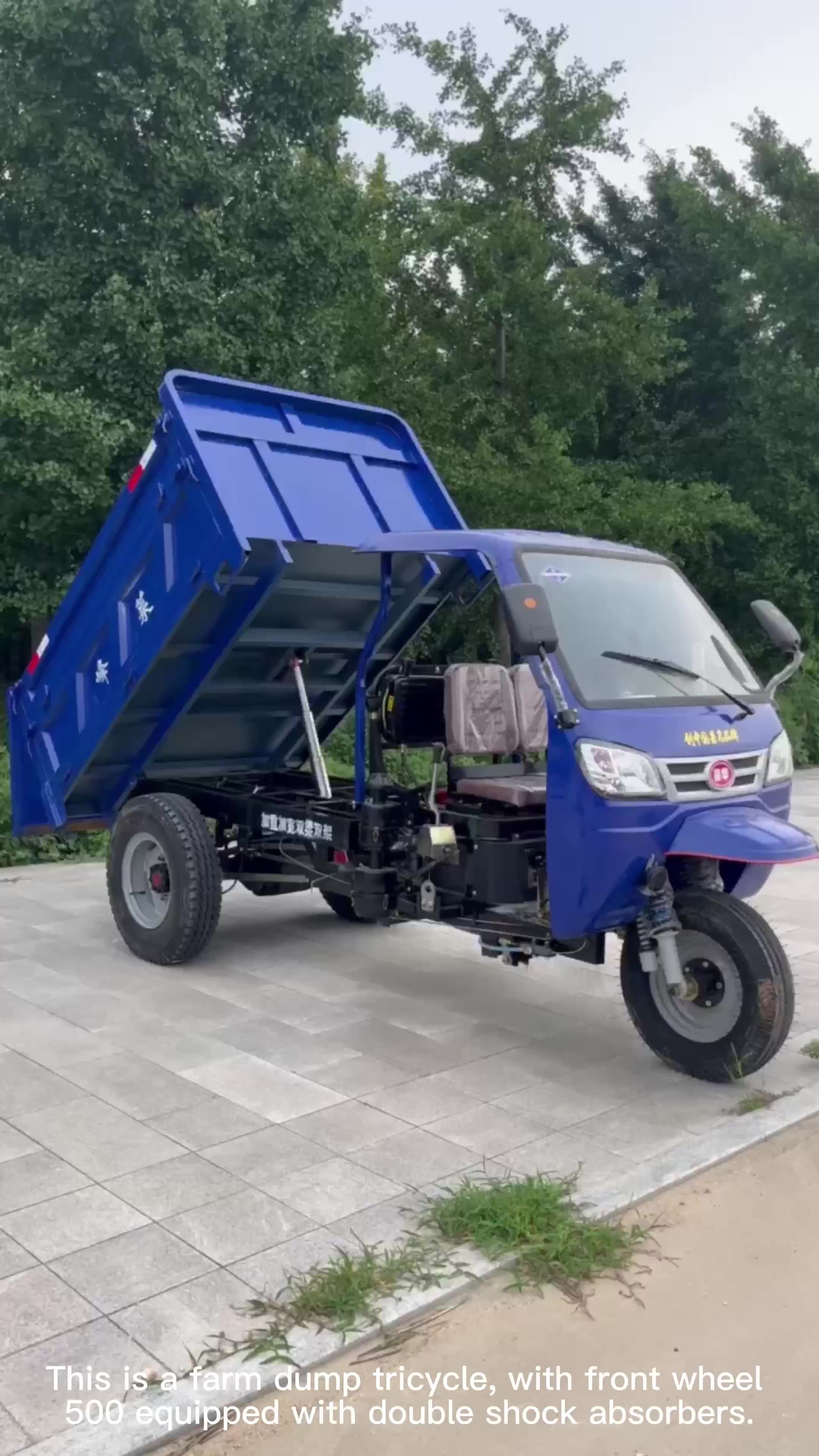 Large Size Diesel Tricycle Cargo 3 Tons Tricycles 3 Tires Tricycle