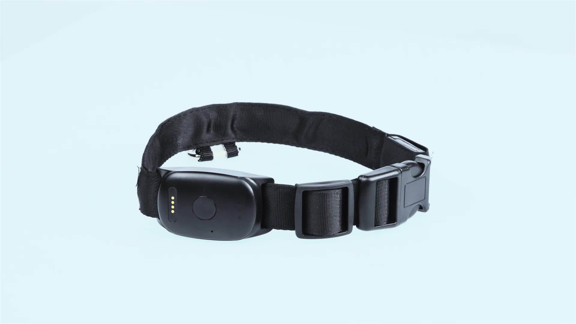 Gps Satellite Waterproof Light Collar Gps Tracking Device For Dog Leash
