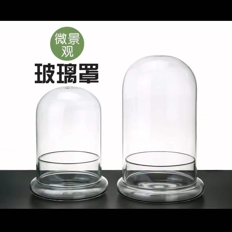 Dome /tabletop Centerpiece Cloche Bell Jar Display Case Whole