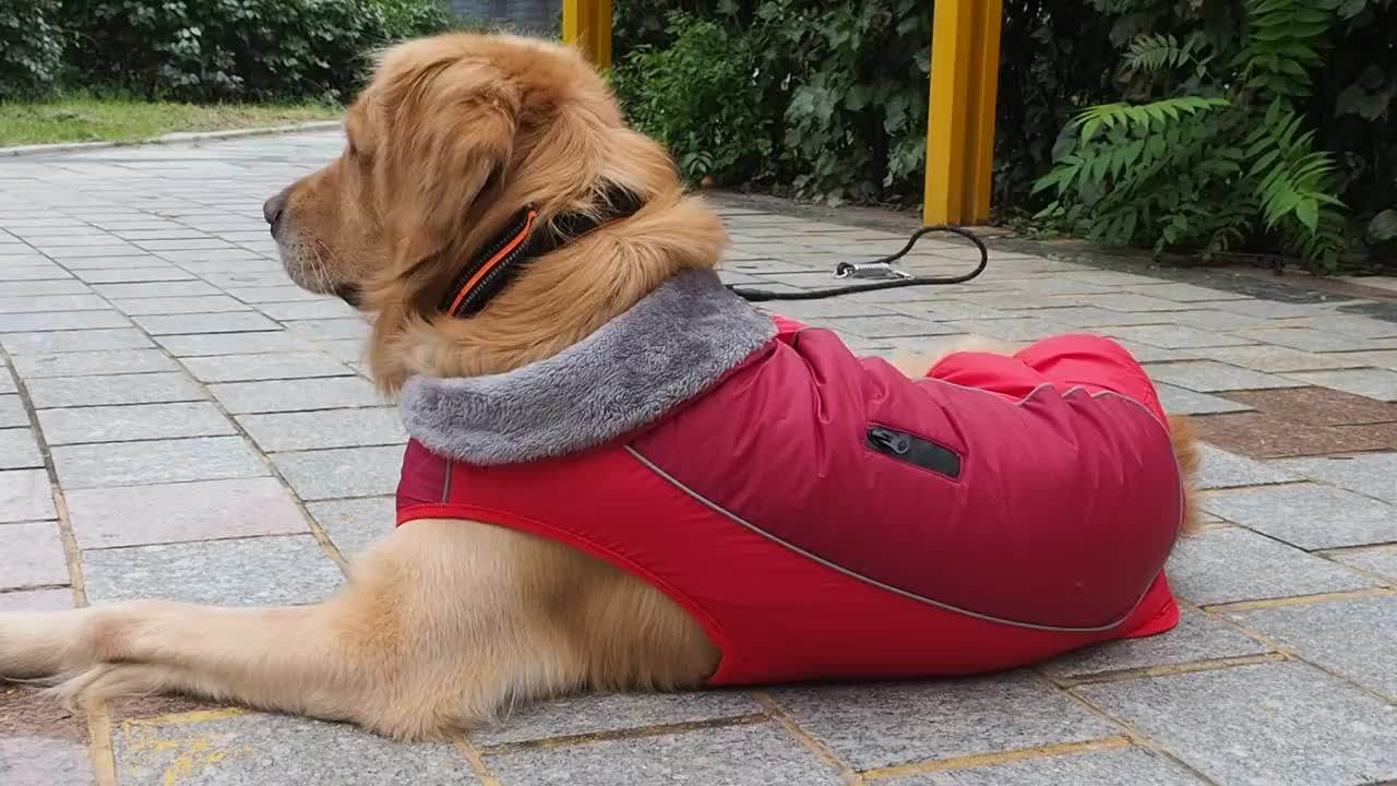 Waterproof Large Dog Coat Reflective Safety Warm Coat For Golden