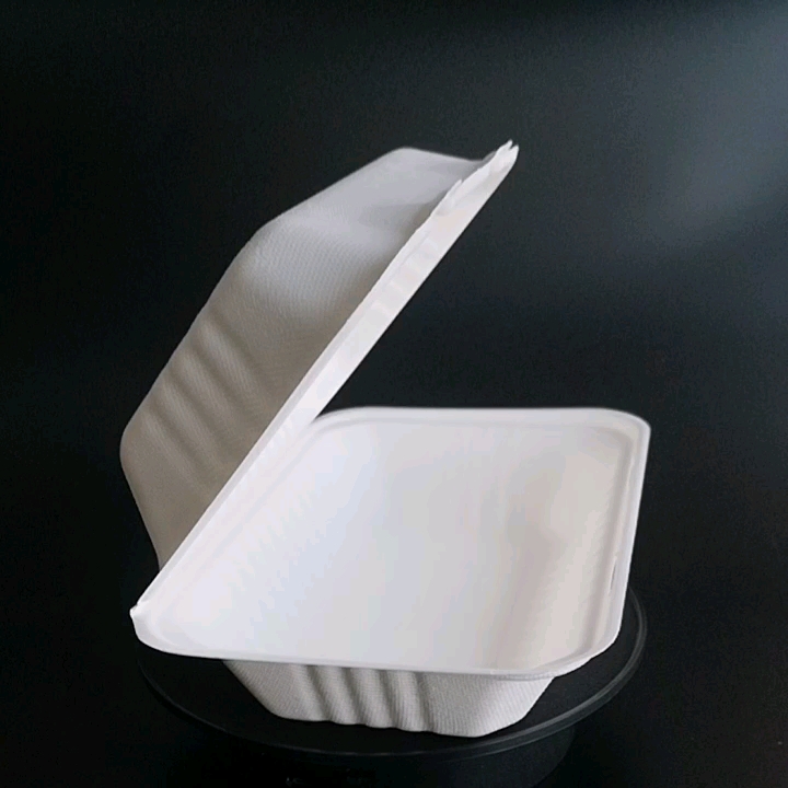 Ecofriendly Disposable Biodegradable Bento Lunch Boxes With Lid Buy