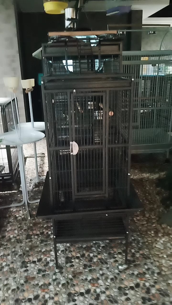 Hot Sale Fashion Metal Popular Cheap Bird Breeding Cages Decorative