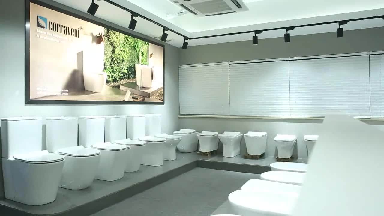 High Quality Sanitary Ware Ceramic Toilet Bowl Wc Toilet Chinese