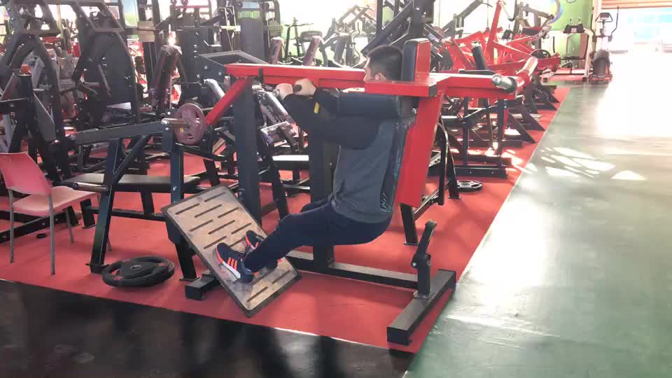 Total Gym 1100 Leg