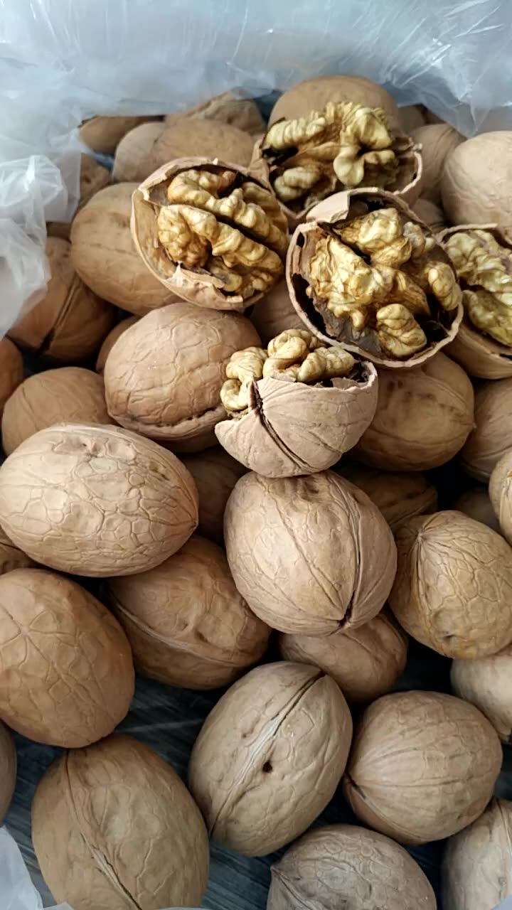 100 Natural Walnut Whole Sale Organic Paper Walnuts In Shells Buy