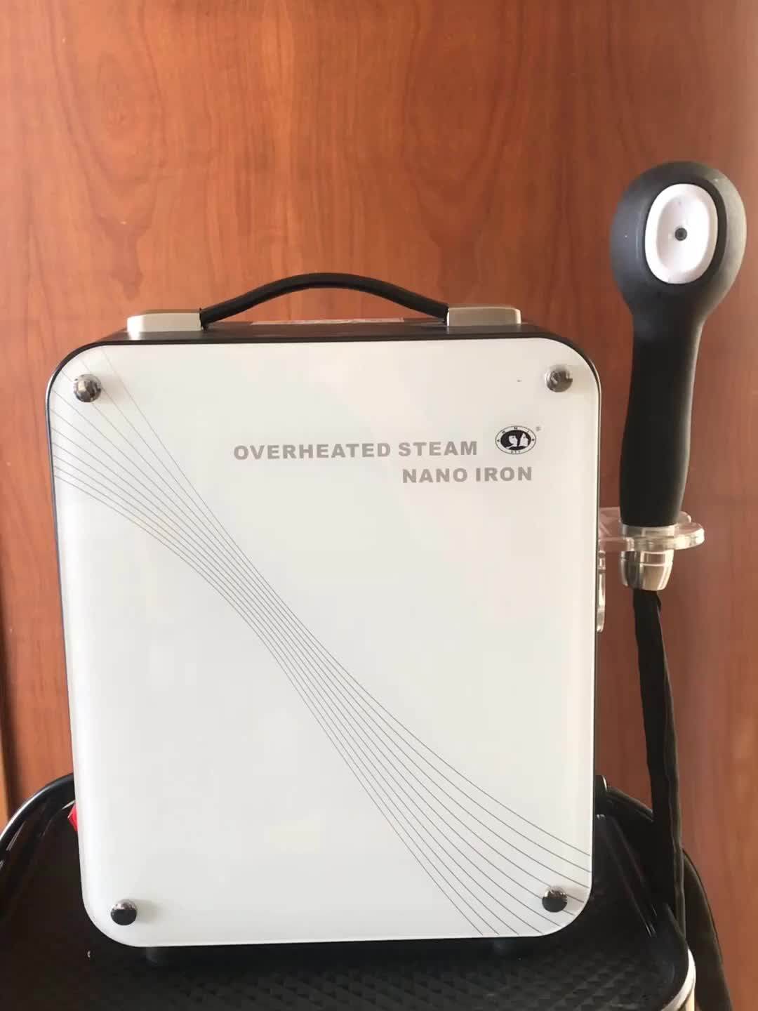 Dty Salon Nano Micro Mist Handheld Hair Spa Steamer Mini Machine Portable Equipment Buy