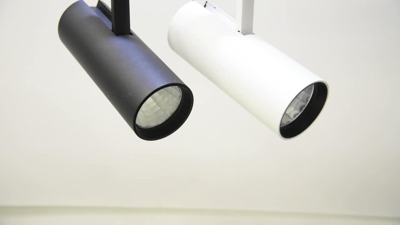 Commercial Ce Rohs 1 M Light Aluminium Rail Black White Mini 2 Wires