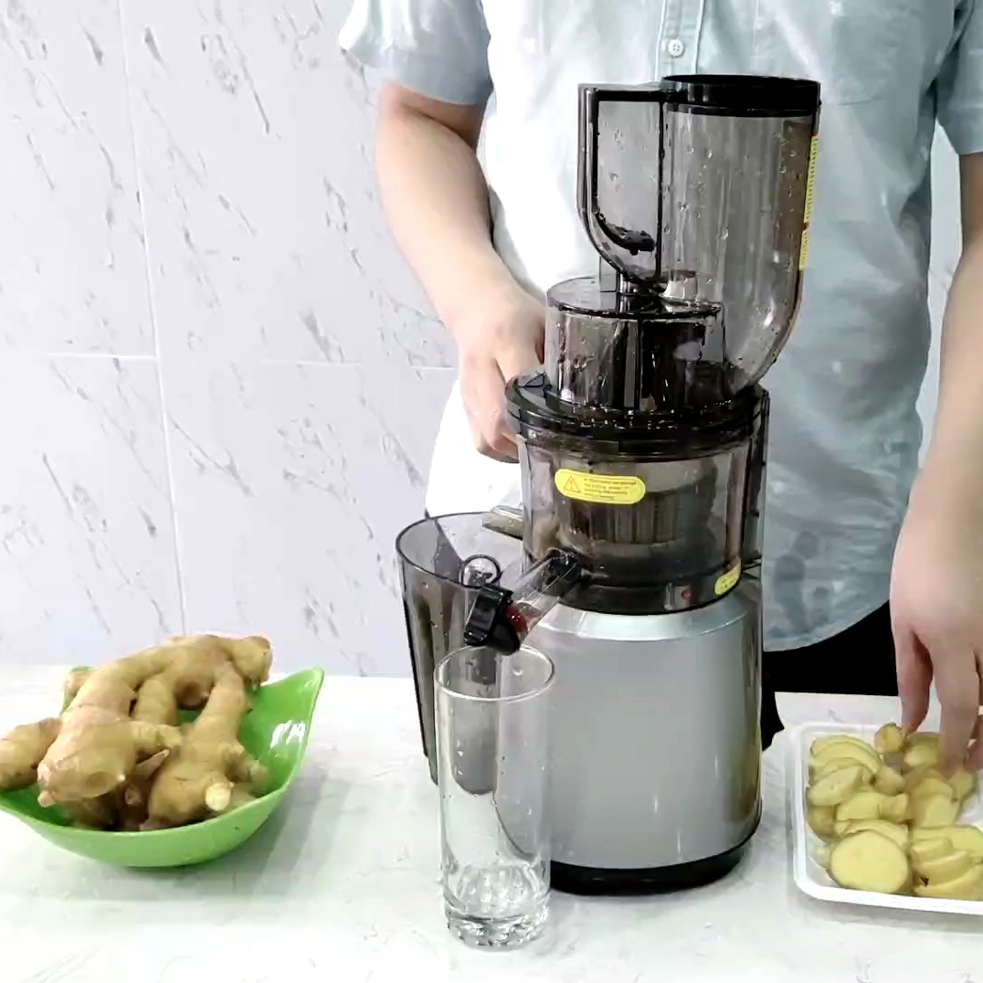 Multifunctional Juice Maker Professional Slow Juicer For Wholesales