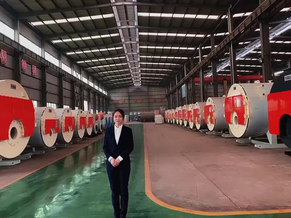 Industrial Natural Gas Fired Boiler For Steam Engine 1000kg 3000kgs
