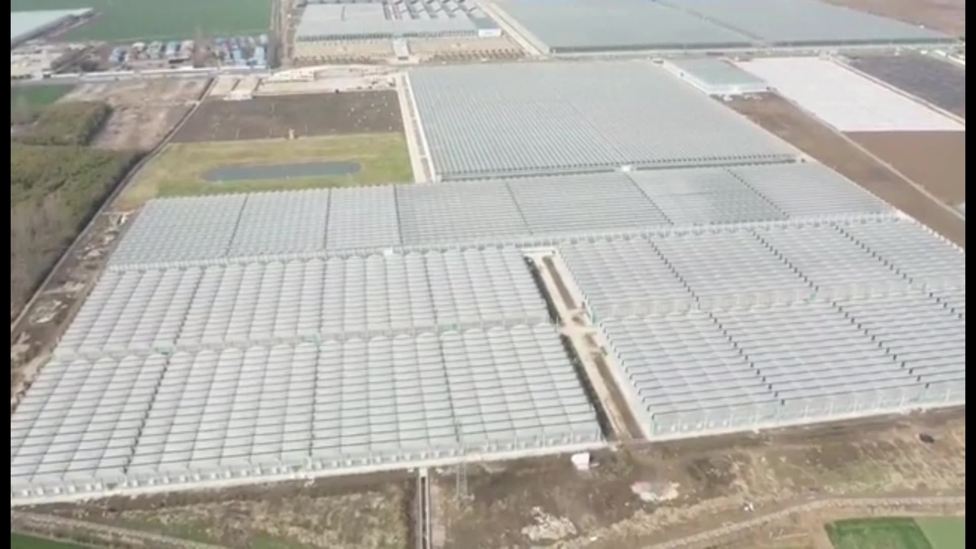 Commercial Vegetables Vertical Farming Greenhouse Pc Sheet Polycarbonate Film Glass Cover