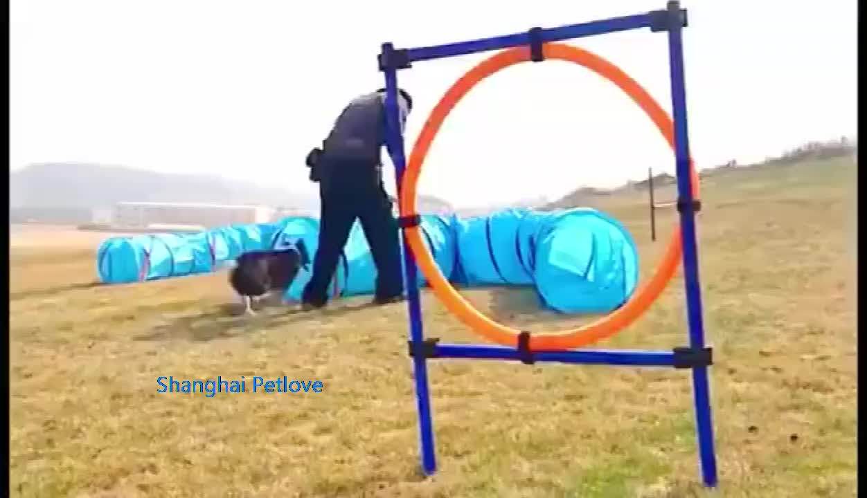 Portable Pet Dog Jumping Hoop Agility Training Equipment Outdoor Dog