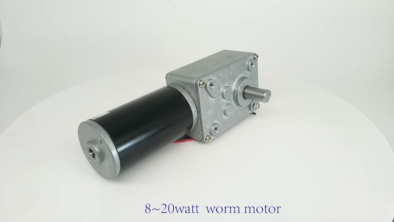 Dc Worm Gear A58sw31zy High Torque Dual Shaft Micro Worm Gear Motor