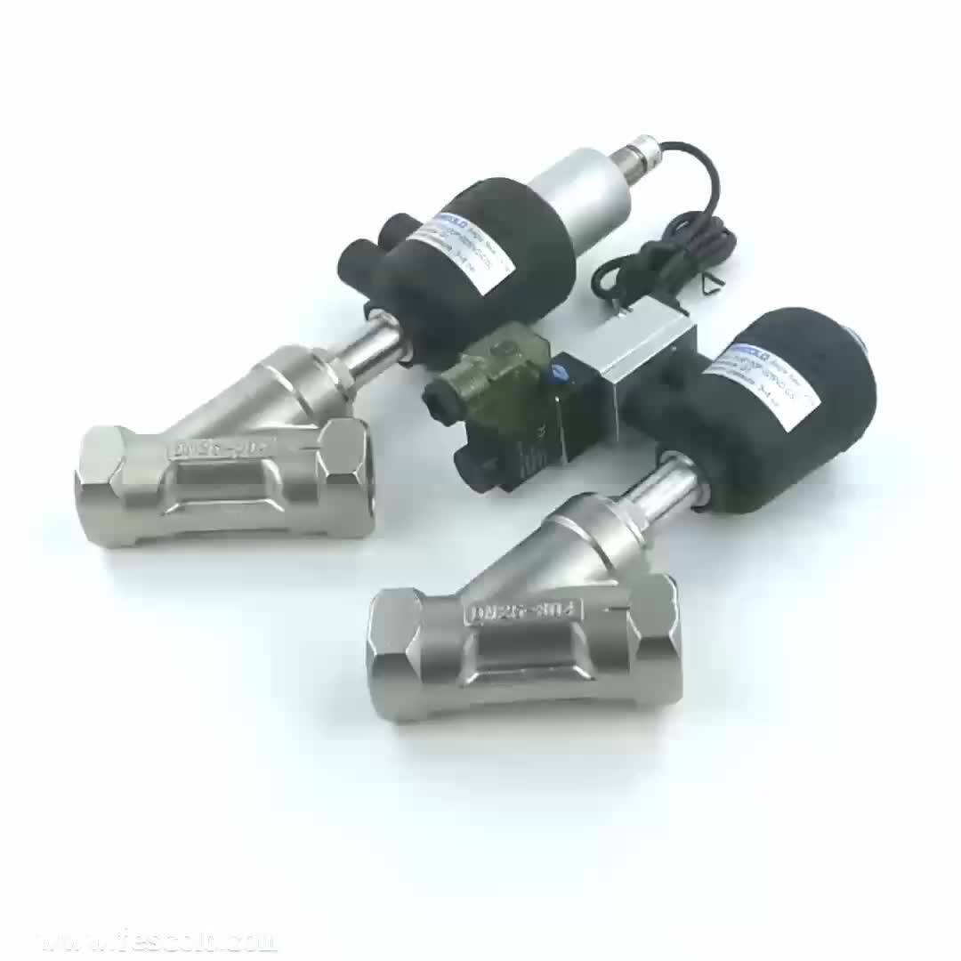 High Quality Pvs Series Stainless Steel Ss316 Pneumatic Control Piston
