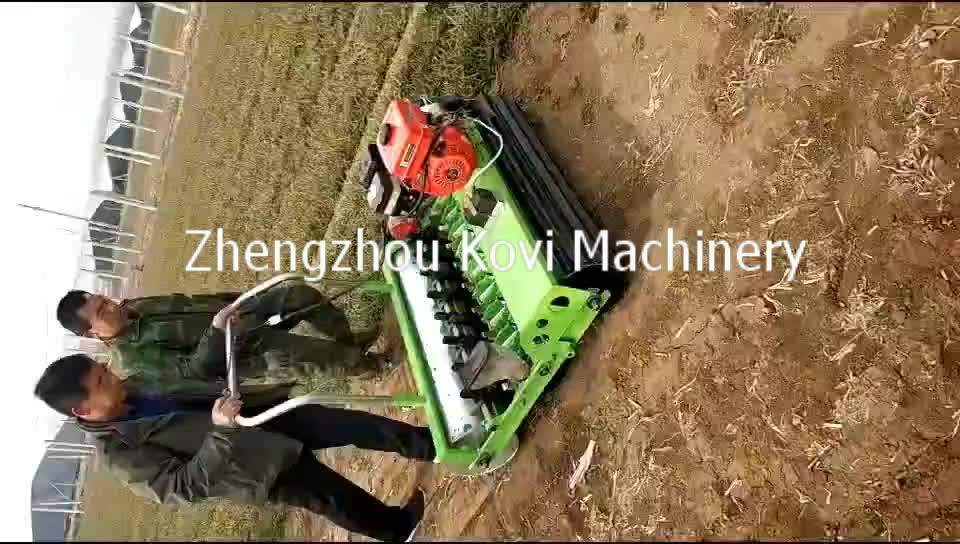 Automatic Lucerne Seed Planter Jang Vegetable Seeder Planting Tools