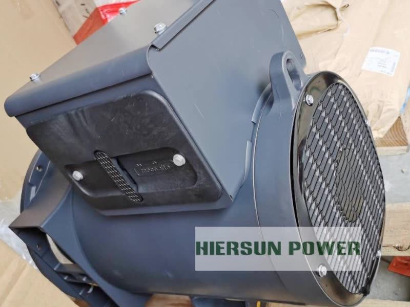 10kva 1000kva Low Rpm Generator Alternator For Construction Site Buy