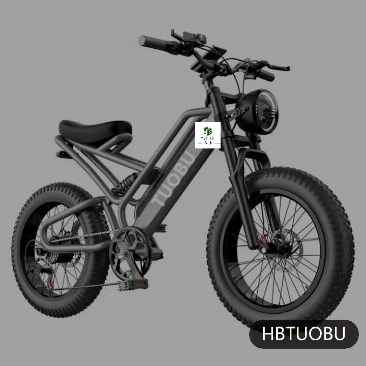 Electric City Bicycle with 20 Inch Fat Tires E-bike