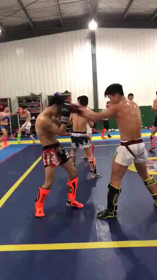 Custom Logo Ticken Shinguards Instep Muay Thai Fighting Men Mma Shin