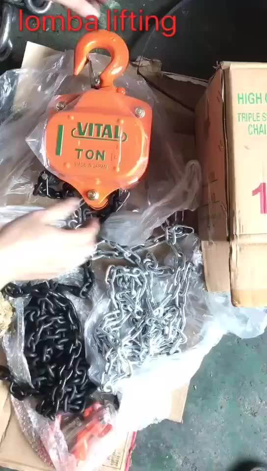 G80 Lift Chain Block/manual Chain Hoist With Japan T O Y O Technology