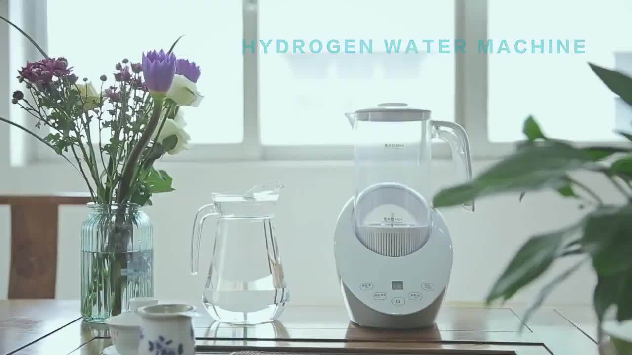 Japan Alkaline Ionizer Hydrogen Water Generator Spm Hydrogen Rich Water