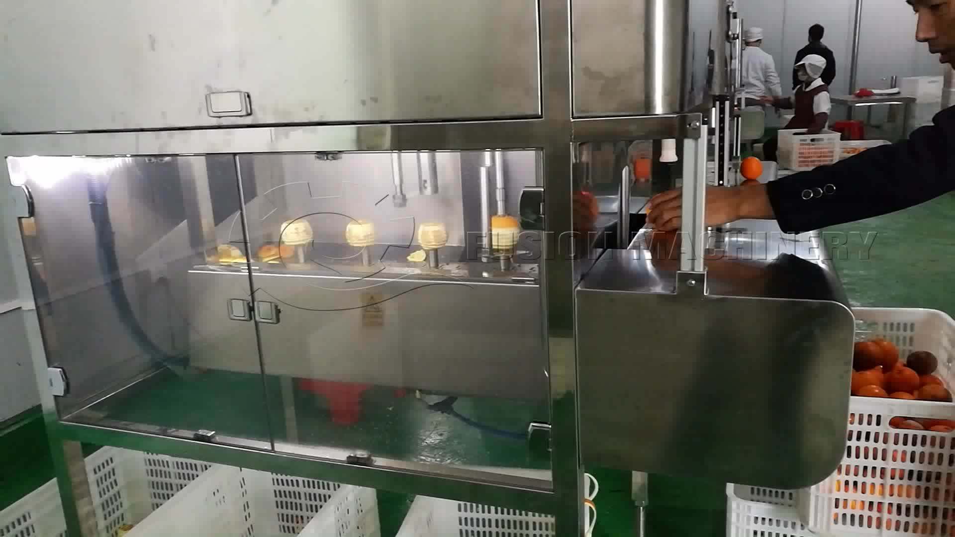 New Design Hot Sale Commercial Lemon Zester Peeler/pineapple Slicing