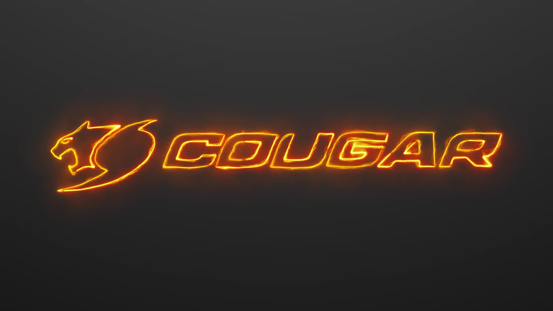 Cougar Galleries
