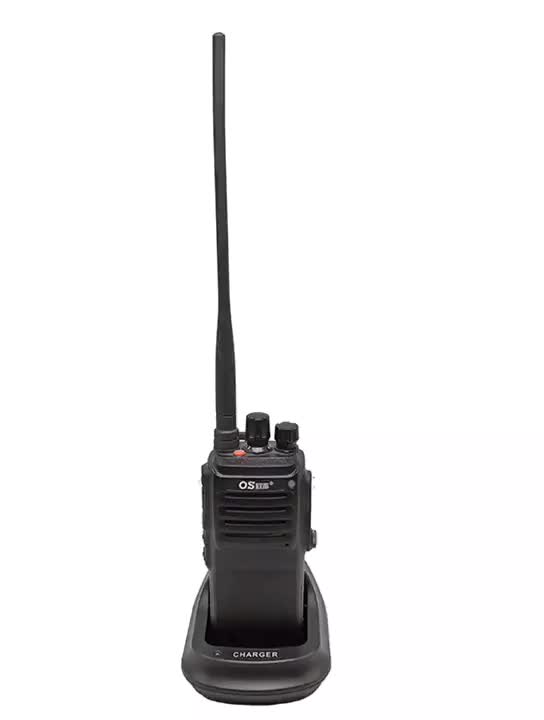 Часы Dmr Chs Nst 0219 Цена
