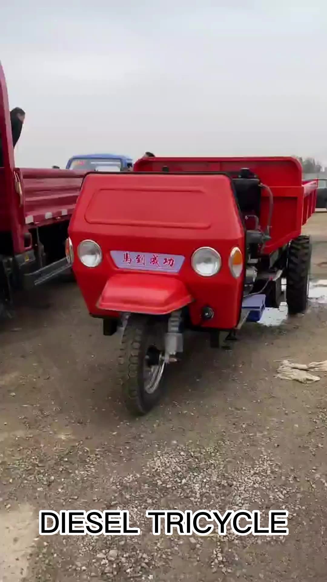 Threedoor Tricycles Cargo Cabin Motor Tricycle 3 Wheel Diesel Dump