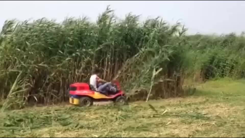 Direct Selling Riding Lawn Mower Zero Turn Riding Lawn Mower Buy Lawn