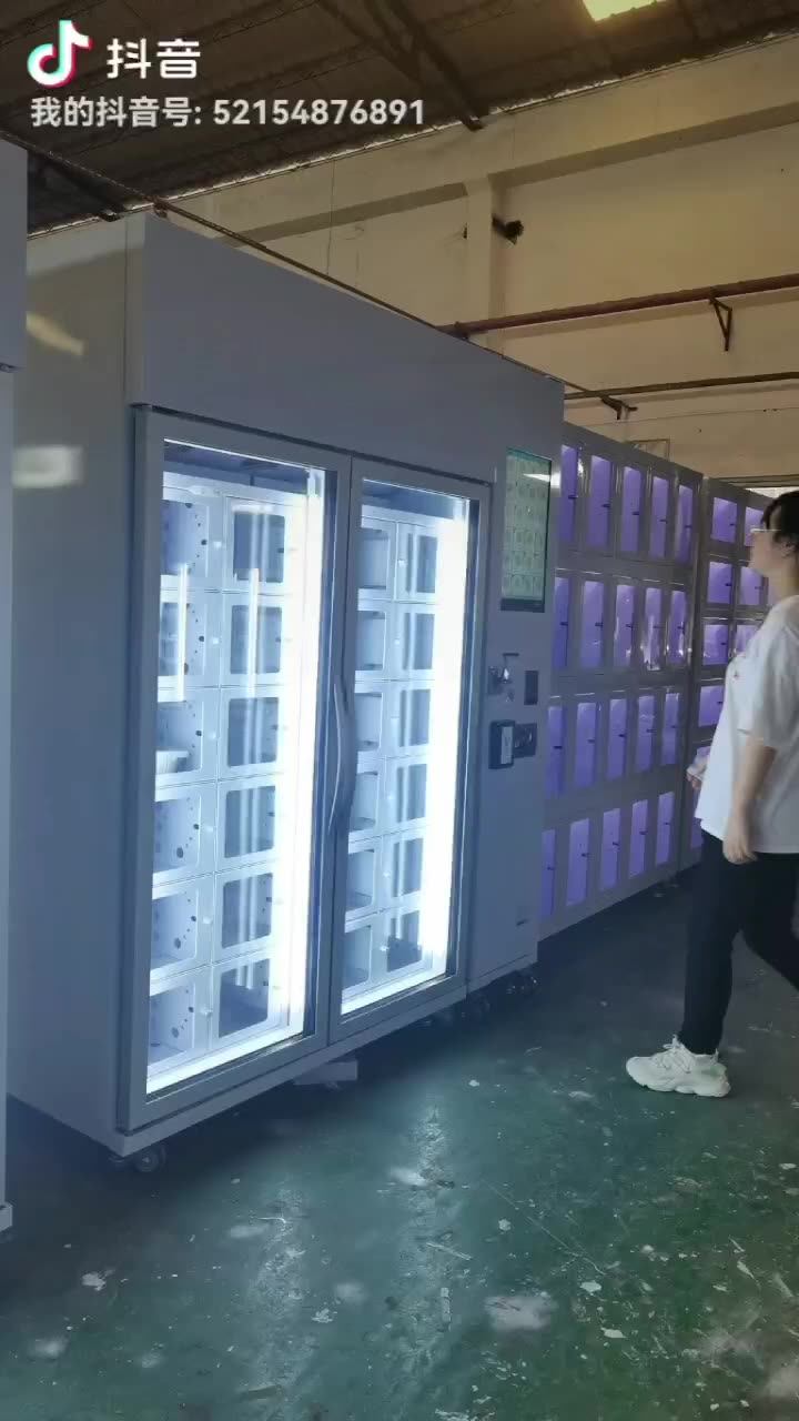Frozen Food Smart Locker Bento Lunch Box Freezer Locker Vending Machine