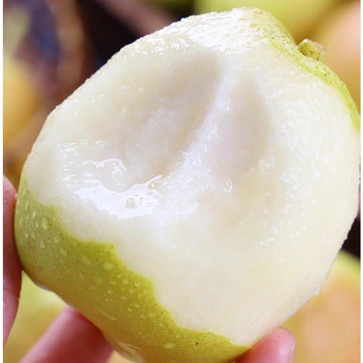 新疆庫(kù)爾勒香梨 5斤（100-120g） 下單立減，券后14.8元包郵