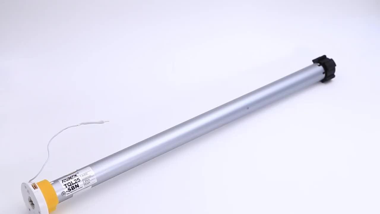 De 25mm Blinds 2 In 1 Smart Alexa 2200mah Lithium Battery Dc Tuya