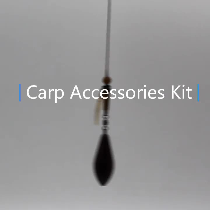 Lot De 120 Accessoires De Pêche à La Carpe – Hélicoptère, Clips, Perles, émerillons, Manchons Anti-nœuds – Boîte De Rangement Incluse