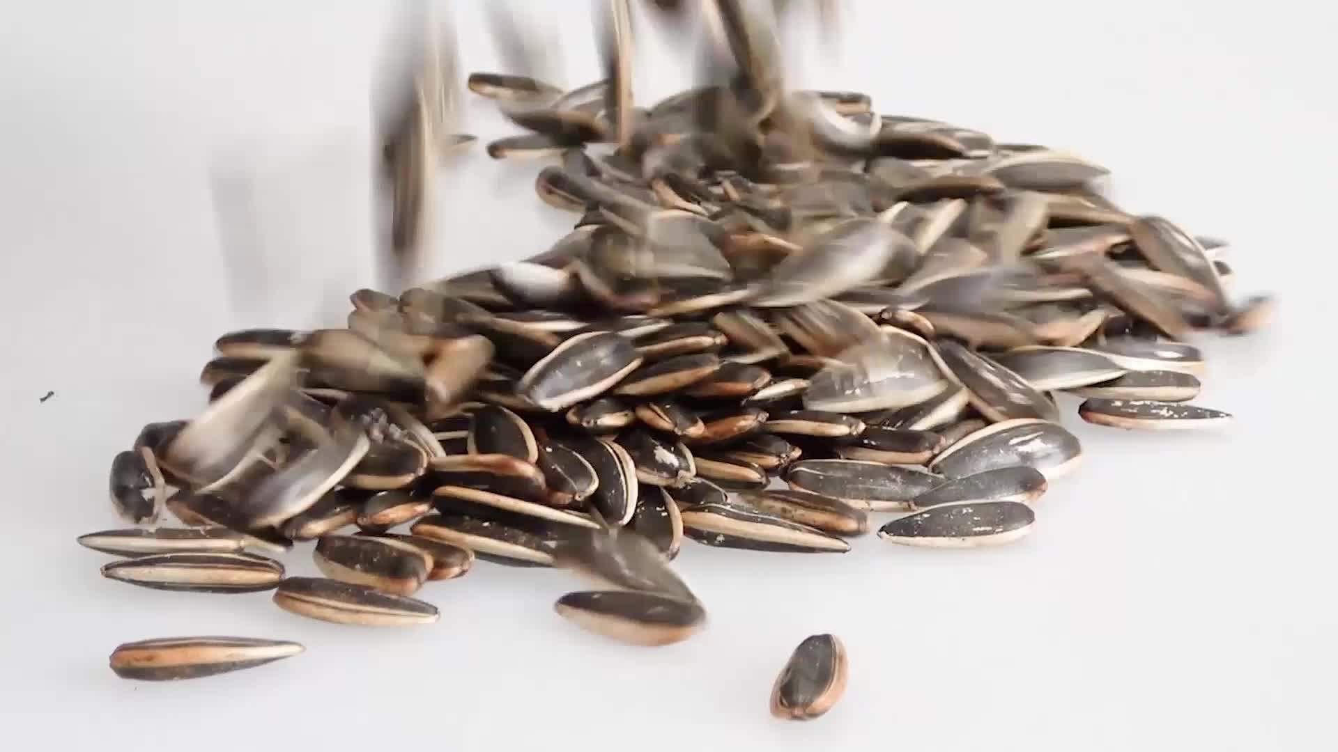 Big Size Raw Snack Ton Price Sunflower Seed Kernel Buy Sunflower Seed