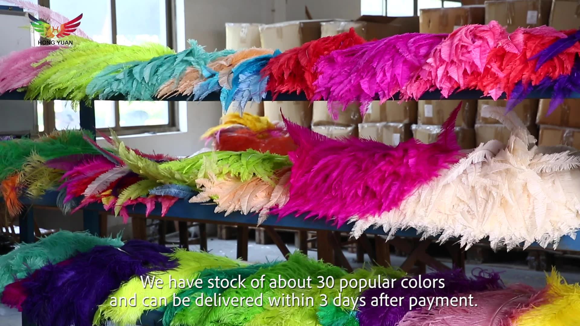 Dyed Wedding Pink Large Centerpiece Ostrich Feather Home Decorations Black 22/24 Inch White