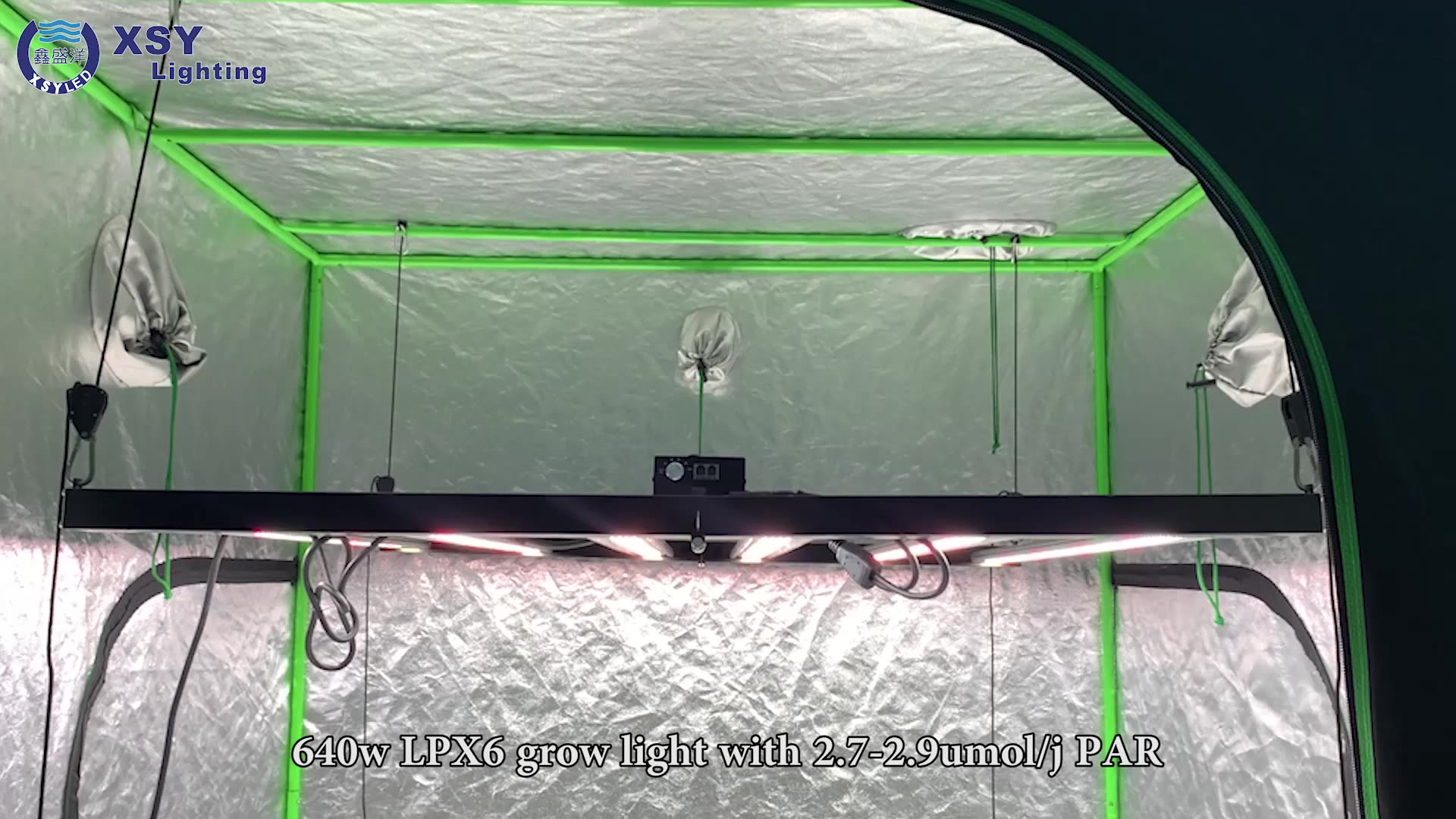 Lampara Ful Espectro Para Foco 640w Luz Barra Luces Led Cultivo Indoor