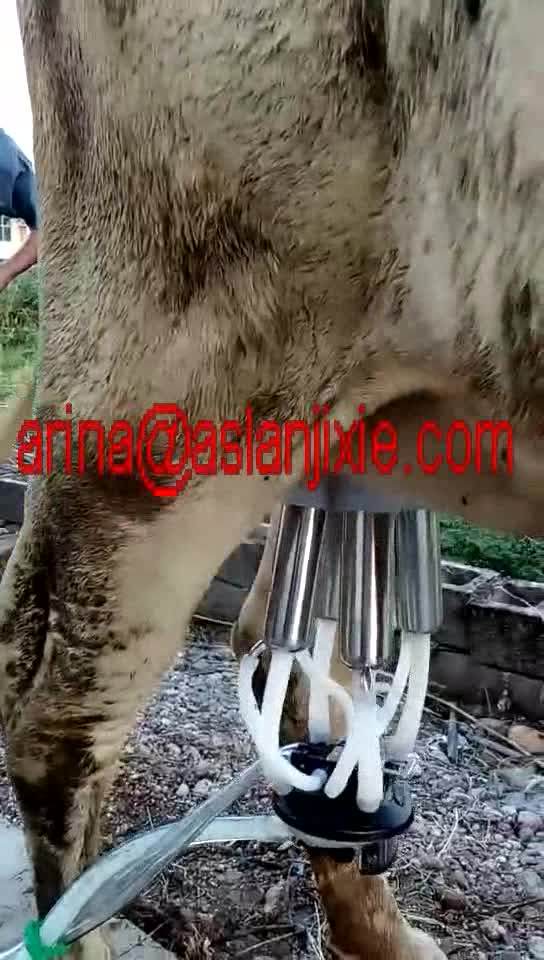 Hand Push Type Vacuum Pump Goat Milking Machine/vacuum Single Barrel